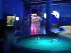 -临沂极地海洋王国