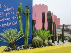 -漳州滨海火山岛自然生态风景区