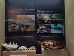 -上海中国航海博物馆