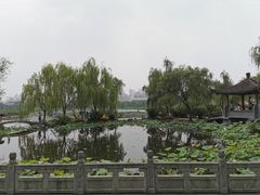 -武汉园博园(武汉自然博物馆)