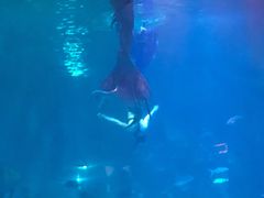 -福州罗源湾海洋世界旅游区