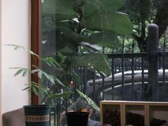 -SANYAY叁言咖啡巧克力