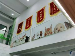 -爱侣宠医·鹦鹉专科·小型哺乳类·异宠专科(灵石路店)