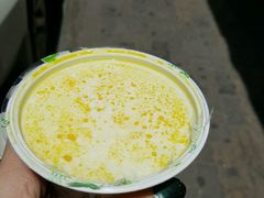 -德禄酸奶(莫家街店)