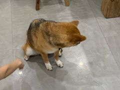 -NOTBAD 须时·咖啡馆
