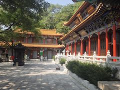-高尔山公园