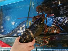 -阳光海鲜大排档