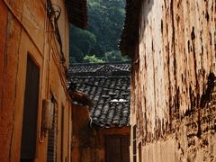 -杨家堂村