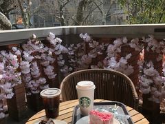 -星巴克臻选(思南公馆店)