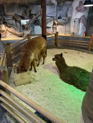 -Zoolung Zoolung动物主题公园(海信广场店)