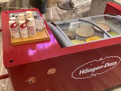 -乌鲁木齐环球国际大酒店