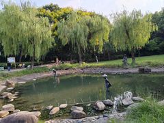 -苏州河梦清园环保主题公园