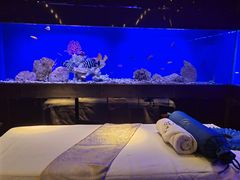 -避尘 Bsense·SPA(新会展总店)