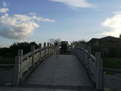 -上海海湾国家森林公园