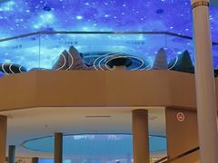 -浦乐汇·汤泉水世界