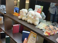 -小仙女采耳·按摩·SPA(深圳旗舰店)