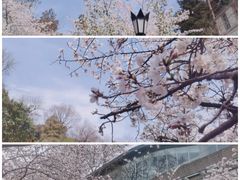 -鸡鸣寺