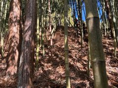 -安吉龙王山风景区