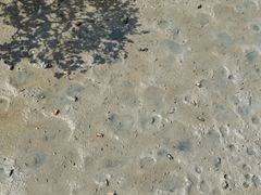 -北海金海湾红树林生态旅游区