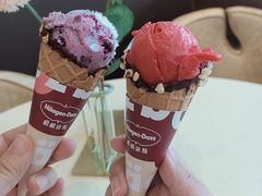-哈根达斯(石家庄北国店)