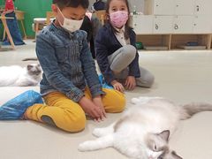 -藏猫猫咖啡主题馆(中央大道店)