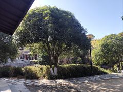 -白马涧龙池景区