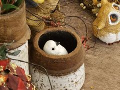 -春风·有糖(崇宁路店)