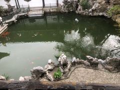 -何园