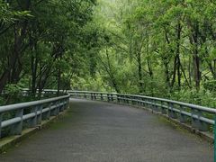 -西湖风景区-江洋畈生态公园