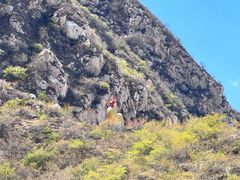 -鸡鸣山旅游风景区