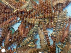 -宜宾海鲜酒家·三十年老字号