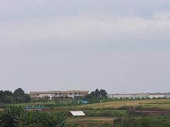 -空港花田景区