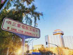 -三里屯东五街银杏大道