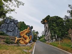 -宜兴龙背山森林公园