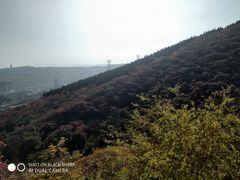 -博山九龙峪风景区