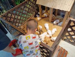 -酷嗒动物文化乐园(cutezoo西溪乐天城店)