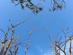 -福田红树林生态公园