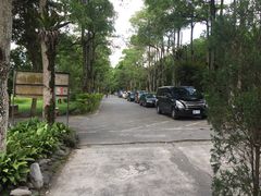-瑞穗牧场