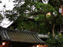 -料亭菊水楼