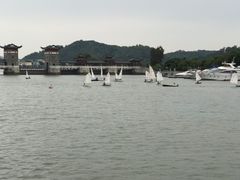 -长洲岛