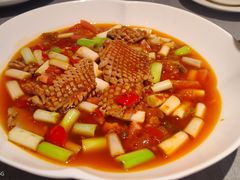 -南堂馆·新川菜(春熙路店)