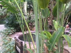 -龙达温泉生态城