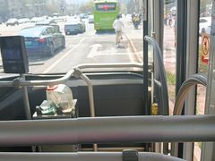 -凯德MALL(望京店)