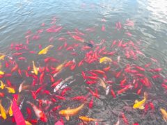 -狼山风景名胜区