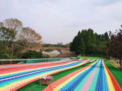 -东方绿舟景区