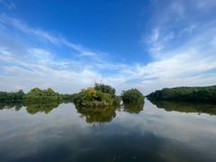 -大湾区中央湿地公园