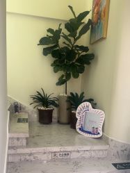 -海涛医疗美容·面部抗衰·注射美鼻