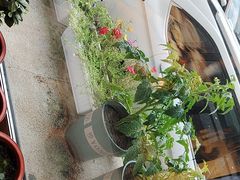 -六泰居·尔滨地标·东北菜(黄河路店)