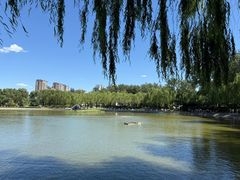 -中国农业博物馆