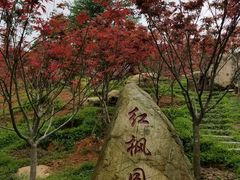 -广州市帽峰山景区